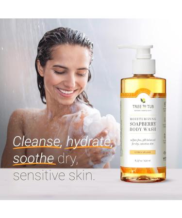 Tree to Tub Citrus Body Wash for Dry & Sensitive Skin - pH Balanced, Moisturizing & Sulfate Free Soap with Organic Shea Butter & Aloe Vera - Natural Soapberry Citrus Blend - 8.5 Fl Oz (Pack of 1) - Buy Online on GoSupps.com