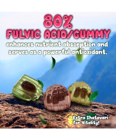 Pure Himalayan Shilajit Gummies - High Potency Gold Grade Resin - Energy Boost and Immune Support for Men and Women with Ashwagandha and Shatavari - 120 Gummy - Strawberry & Banana Strawberry & Banana 120 Count (Pack of 1) - Buy Online on GoSupps.com