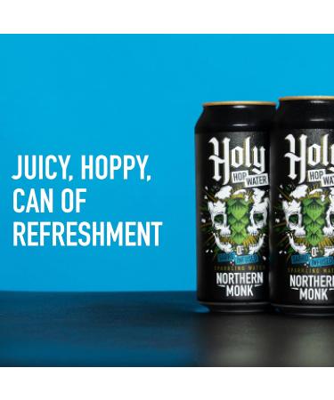 Northern Monk Brew Sabro Sparkling Water Hop Infused Carbonated Water NO Sugar NO Sweeteners NO Caffeine 0.0% Less Than 10 Calories Vegan 12 x 440ml Cans - Buy Online on GoSupps.com