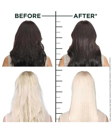 Garnier Fructis Hair Filler Strength Repair Shampoo - Sulfate Free Vitamin Cg for Weak & Damaged Hair 10.1 Fl Oz - Shop Internationally - Buy Online on GoSupps.com