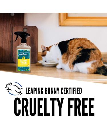 Aunt Fannie's Bright Lemon All-Purpose Cleaning Vinegar - 16.9 fl oz (500 ml) | Eco-Friendly Cleaner - Buy Online on GoSupps.com
