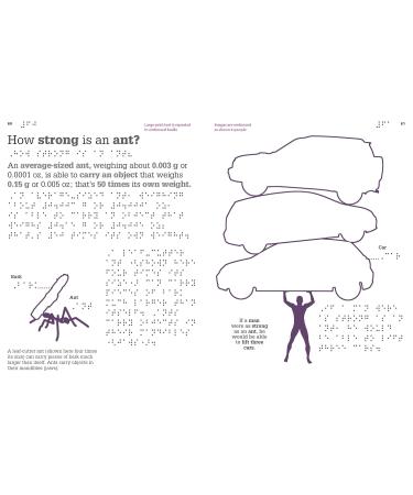 DK Braille It Can't Be True! Buy Internationally | Enhance Literacy & Enjoy Reading - Buy Online on GoSupps.com