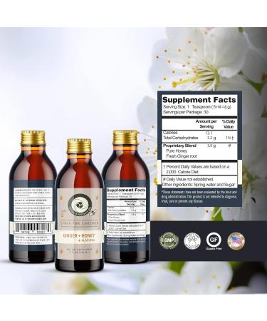 Natural Children s Syrup with Ginger Honey & Aloe Vera - 5 oz (150ml) | Healthy Immune Support - Buy Online on GoSupps.com
