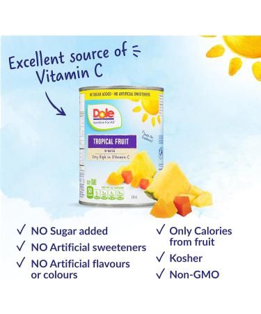 Dole Canned Fruit Tropical Fruit Salad in Water Non-GMO No Sugar Added & No Artificial Sweeteners 540 ml 12 Count Tropical Fruit Salad 540ml - Buy Online on GoSupps.com