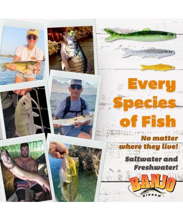 Banjo Minnow 102 Piece Kit - Lifelike Fishing Lure Set for Freshwater & Saltwater - Durable Material, Hooks & Anchors Included - Buy Online on GoSupps.com