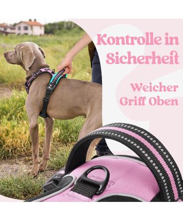 Rabbitgoo Adjustable Anti-Pull Dog Harness for Large Dogs - Soft Padded Reflective Chest Harness in Pink XL (1 Pack) - No Choke Design Perfect for Daily Walks - Buy Online on GoSupps.com