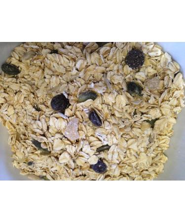 Simplyseedz Porridge Pots Dark Chocolate & Ginger 60g (9 x Pots) Vegan Compostable recyclable pot Vegan 100% Natural Nourishment Unprocessed - Buy Online on GoSupps.com