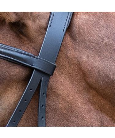 WALDHAUSEN Star Bridle Bitless - Black | Premium Tack for Thoroughbreds | International Shipping Available - Buy Online on GoSupps.com