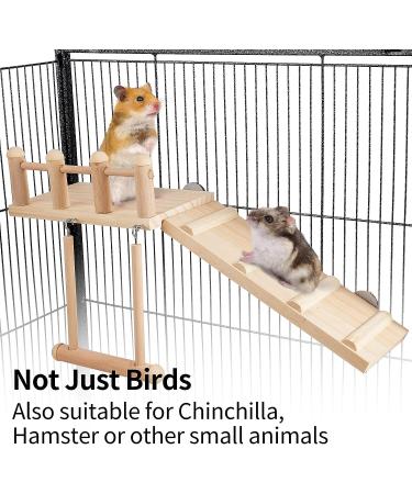 TeTupGa Hamster Bird Perches Cage Toys - Wooden Platform with Climbing Ladder and Swing - Ideal for Green Cheeks, Lovebirds, Chinchillas, and Budgies - Buy Online on GoSupps.com