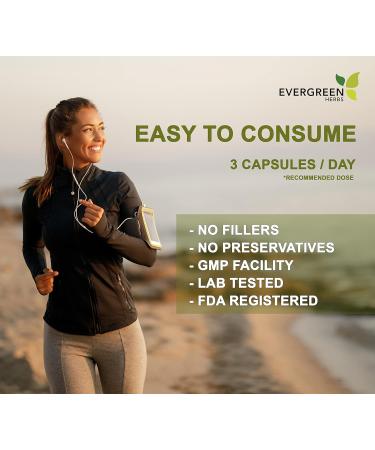 Evergreen Herbs Supplement Herbal Capsules 90 Count (Senna Leaf) - Tamper Proof Seal to Ensure Freshness. - Buy Online on GoSupps.com