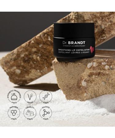 Dr. Brandt Microdermabrasion Smoothing Lip Exfoliator - Polishes & Conditions Dry Flaky Lips to Renew Skin + Prepare for Color Application - 0.35 oz 0.35 Fl Oz (Pack of 1) - Buy Online on GoSupps.com