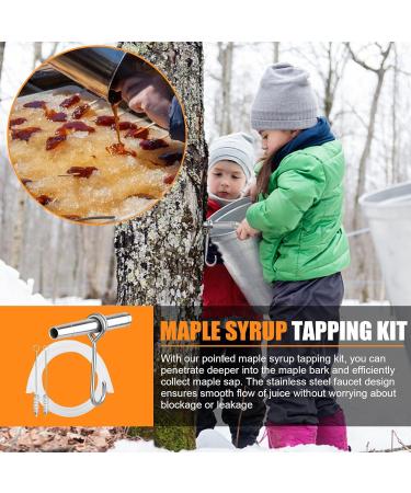 Maple Syrup Tapping Kit - Stainless Steel Maple Tree Taps Spiles for Making Maple Syrup Reusable Stainless Steel Tree Taps Tree Tapping Kit Maple Syrup Supplies - Buy Online on GoSupps.com
