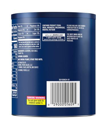 Planters Salted Cashew Halves & Pieces (14 oz Canister) Salted 1 - Buy Online on GoSupps.com