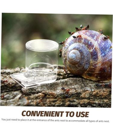 GREENADSCAPE Pet Water Feeder Ant Feeder Ant Feed Bowl Ant Keeper Tools Ant Bowl Ant Feeding Cup Plastic - Buy Online on GoSupps.com