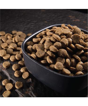 CRAVE Grain Free High Protein Cat Food - Adult Salmon & Ocean Fish 10lb - Buy Online on GoSupps.com