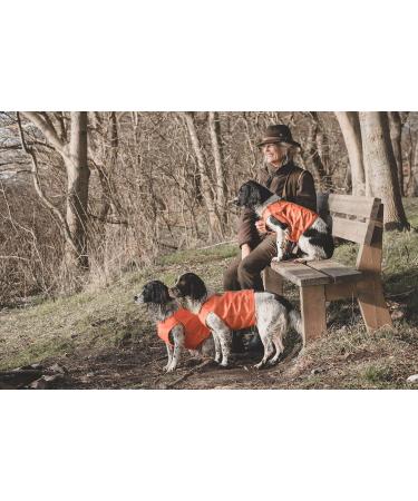 Hurtta Ranger Vest | Safety Vest for Dogs | Orange Camouflage Hunting Jacket for Outdoor Activities | MM Size Available - Buy Online on GoSupps.com