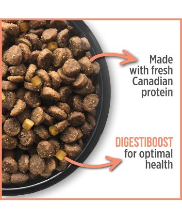 Nutrience Care Sensitive Skin & Stomach Hypoallergenic Dog Food Salmon & Pumpkin 10 kg (22 lb) Bag & Care Sensitive Skin & Stomach Hypoallergenic Cat Food Salmon & Pumpkin 5 kg (11 lb) Bag PET_FOOD + PET_FOOD - Buy Online on GoSupps.com