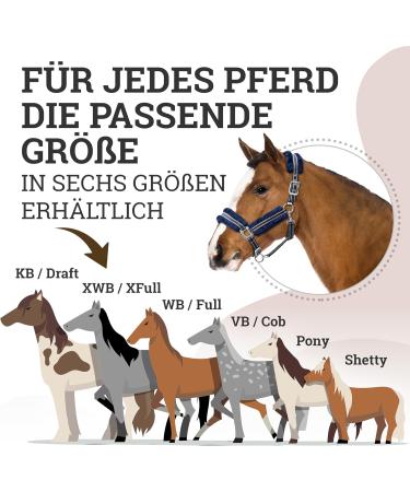 Esposita Halfter Champion Edition - Flauschiger Stallhalter mit Kunstfell | COB/VB Navy/Silver - Internationaler Versand - Buy Online on GoSupps.com