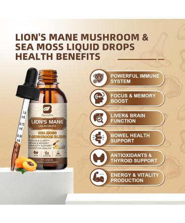 Lions Mane Mushroom Liquid Drops 8 in 1 Mushroom Complex Supplement with Irish Sea Moss Chaga Turkey Tail Cordyceps & More for Brain Focus Cognitive & Immune Support Vegan Peach Flavor 60mL - Buy Online on GoSupps.com