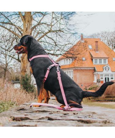 Max & Molly H-Harness - Retro Pink XS | Shop Stylish & Comfortable Pet Harness for International Shipping - Buy Online on GoSupps.com