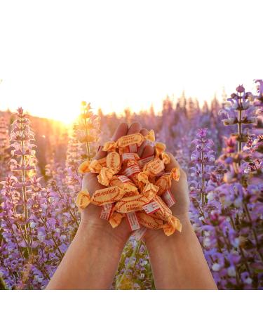 Buy EM-Eggwal Ginger Orange Coughing Candy Sugar-Free 75g | Aromatic Ginger & Refreshing Oranges | Vitamin C Boost | International Shipping - Buy Online on GoSupps.com