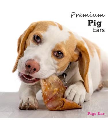 Drool Pet Products 100% Pigs Ears (10 Pack) | Natural Healthy Dog Chews | Raw Dog Treats - Grain, Gluten & Lactose Free - Buy Online on GoSupps.com