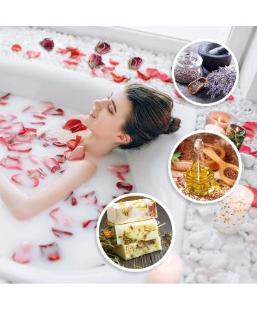 9 Bags Natural Dried Flowers Herbs Kit for DIY Soap & Candle Making - Rose, Lavender, Jasmine, Lilium & More - Buy Online on GoSupps.com