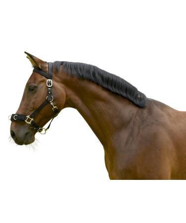 Kerbl plastic lunge halter black warmblood