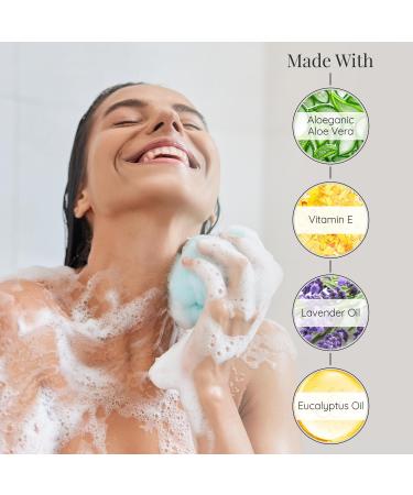 Aloette Lavender Body Wash Rest & Restore - Hydrating & Moisturizing Body Wash for Dry Skin with Natural Aloe Vera & Vitamin E - Exfoliating & Rejuvenating Skin Care Products for Men & Women - Buy Online on GoSupps.com