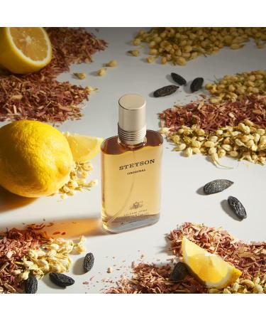 Stetson Original Cologne for Men - Classic Woody Scent with Citrus, Patchouli, and Tonka Bean Notes - 2.25 Fl Oz Spray - Buy Online on GoSupps.com