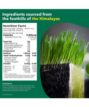Akiva Superfoods Wheatgrass Daily Antioxidant Shot - Natural Detox 2oz Ready to Drink Servings (Pack of 15) - Buy Online on GoSupps.com