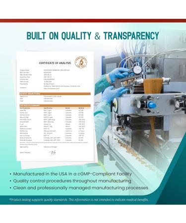 Liposomal Berberine with Cinnamon Bitter Melon & Natural Herbal Blend Supports Liver Function Gut Wellness & Immune System 180 Capsules 60 count (pack of 2) - Buy Online on GoSupps.com