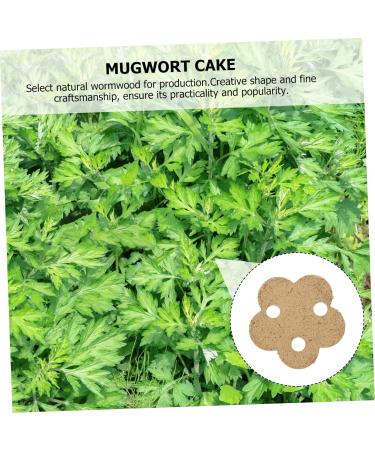 Gatuida 40 STK Moxa Cake for Women's Therapy | Plum Blossom Moxka Blocks | Chinese Health Tools - Buy Online on GoSupps.com