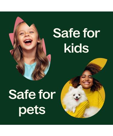 Plant Therapy Vanilla Extract 10 mL (1/3 oz) 100% Pure Undiluted Therapeutic Grade - Buy Online on GoSupps.com