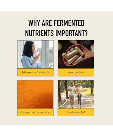 Living Alchemy Ashwagandha Supplement - Fermented Ashwagandha with Bacopa & Turmeric Curcumin Supplement - Sleep Quality Cognitive Mood Support Supplement for Men & Women - Vegan Non-GMO 60 Pcs - Buy Online on GoSupps.com