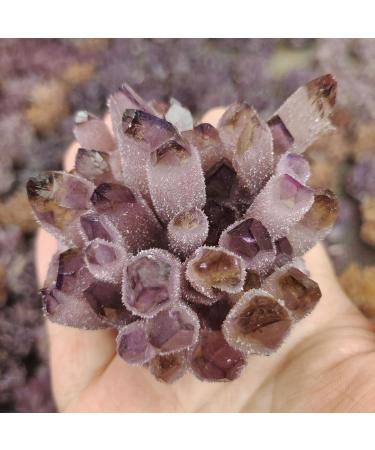 Crystal Rough 1pcs Natural Amethyst Cluster raw Stones geode ReikiQuartz Crystal Minerals Gemstone Remove Negative Suitable for Furniture Decoration (Size : 500-600g) - Buy Online on GoSupps.com