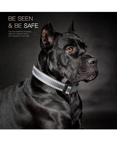 Heele Soft Padded Neoprene Dog Collar for Small & Medium Dogs - Adjustable Reflective Training Collar (Gray 34-52 cm) - Buy Online on GoSupps.com