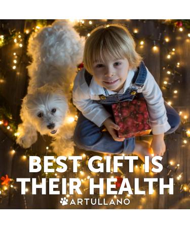 Omega 3 Fish Oil for Dogs 16 OZ - Better Than Salmon Oil for Dogs - Dog Fish Oil EPA DHA- Fish Oil Liquid for Pets - Skin and Coat Food Supplement for Dogs - Allergy Itch Shedding Dry Skin 16 Oz Yellow - Buy Online on GoSupps.com