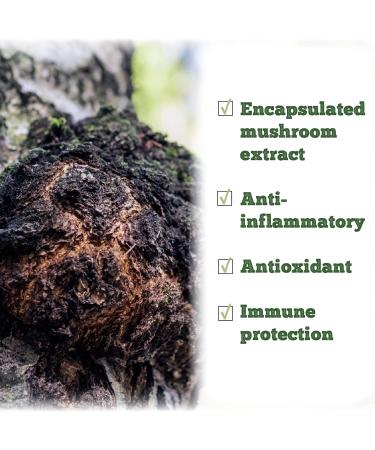 St. Francis Herb Farm Chaga Mushroom Capsules | 100% Pure | High Potency | Immune Booster | Fruiting Body | High in Beta Glucans | 60 Vegicaps - Buy Online on GoSupps.com