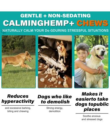 IFUDOIT Dog Calming Treats 150 Count Hemp Calming Chews for Dogs Helps with Dog Anxiety Separation Barking Stress Relief Melatonin for Dogs Sleep Calming Aid for All Breeds & Sizes Chicken (150 Count) - Buy Online on GoSupps.com
