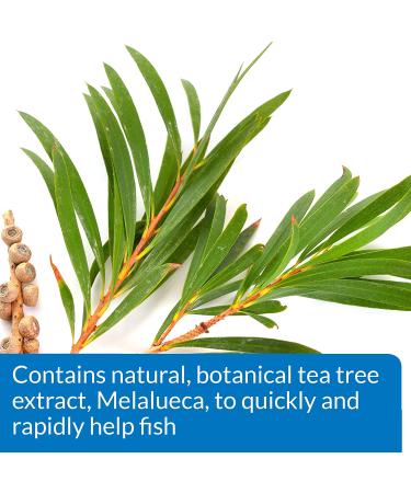 API MELAFIX - Effective Freshwater Fish Healing Remedy | 8oz - Buy Online on GoSupps.com