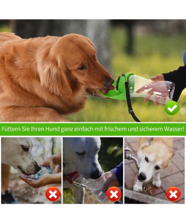 Buy Large 24oz Dog Water Bottle - Portable Puppy Travel Bowl | Safe Spout Design for All Breeds - Green - Buy Online on GoSupps.com
