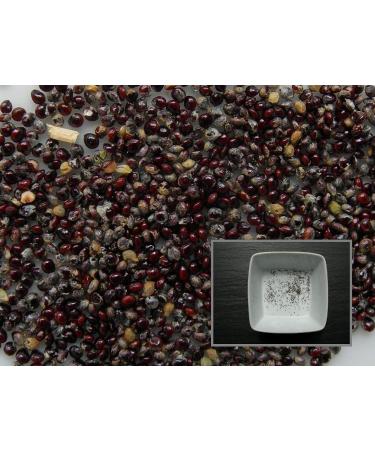 Portal Cool 70 Graines: epazote - Chenopodium Ambroisies - Messico-Tea - Sem03 - Buy Online on GoSupps.com