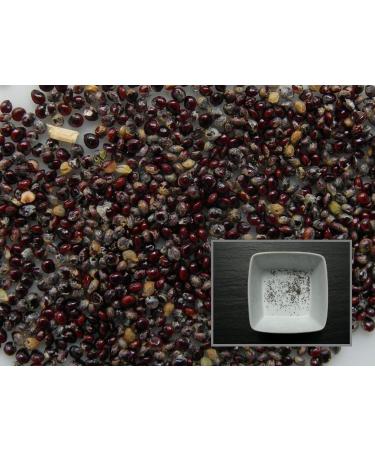 Portal Cool 70 Graines: epazote - Chenopodium Ambroisies - Messico-Tea - Sem03