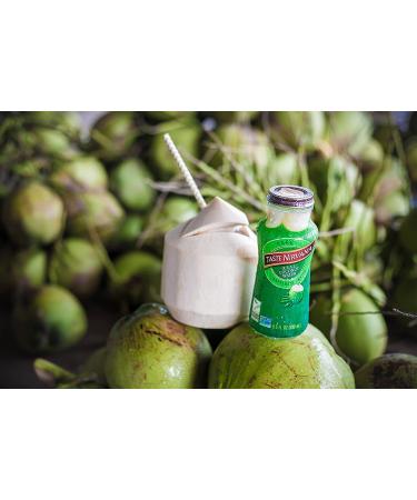 Taste Nirvana Real Coconut Water 9.5oz Glass Bottles (Pack of 12) - Premium Quality - Buy Online on GoSupps.com