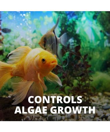 8-Count Tetra No More Algae Tablets for Aquarium Algae Control - Buy Online on GoSupps.com