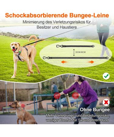 Buy Aystkniet 30m Bungee Dog Leash - Shock-Absorbing Reflective Lockable Hook - Perfect for Medium & Large Dogs - Buy Online on GoSupps.com