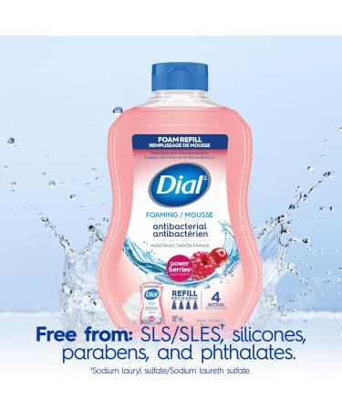 Dial Antibacterial Foaming Hand Wash Refill Power Berries 887ml Berries 887 ml (Pack of 1) - Buy Online on GoSupps.com