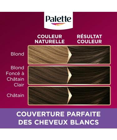  Palette Saint Algue Schwarzkopf Palette Permanent Hair Color Conditioning Cream Covers 100% of Gray Hair Lasts 8 seconds - Buy Online on GoSupps.com