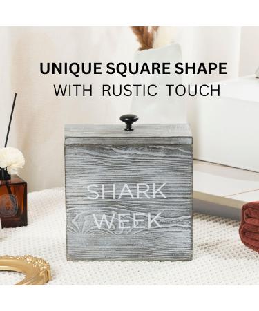 Gofika Tampon Holder for Bathroom | Rustic Real Wood Feminine Product Organizer | Stylish Gray Storage Box with Lid for Girls - Buy Online on GoSupps.com